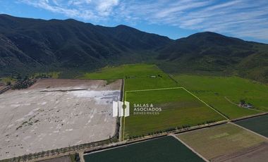 8 HECTAREAS CON DERECHOS DE AGUA Y ELECTRICIDAD