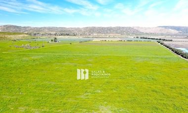 8 HECTAREAS CON DERECHOS DE AGUA Y ELECTRICIDAD
