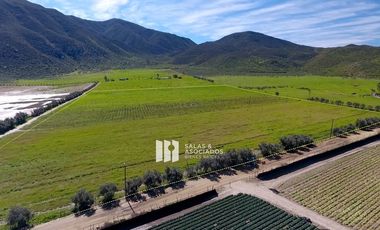 8 HECTAREAS CON DERECHOS DE AGUA Y ELECTRICIDAD