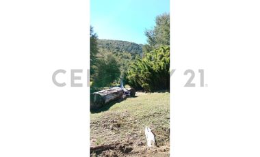 VENTA PARCELA CURARREHUE 5 HECTÁREAS