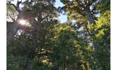 VENTA PARCELA CURARREHUE 5 HECTÁREAS