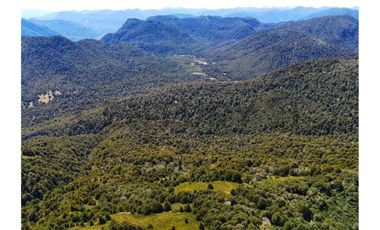 VENTA PARCELA CURARREHUE 5 HECTÁREAS