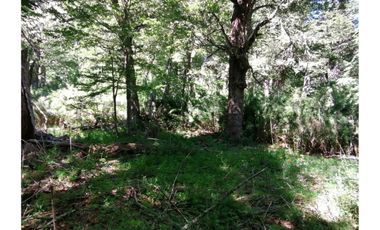 VENTA PARCELA CURARREHUE 5 HECTÁREAS