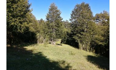 VENTA PARCELA CURARREHUE 5 HECTÁREAS