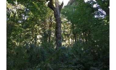 VENTA PARCELA CURARREHUE 5 HECTÁREAS