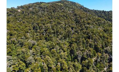 VENTA PARCELA CURARREHUE 5 HECTÁREAS