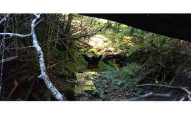 VENTA PARCELA CURARREHUE 5 HECTÁREAS