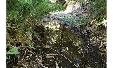 VENTA PARCELA CURARREHUE 5 HECTÁREAS