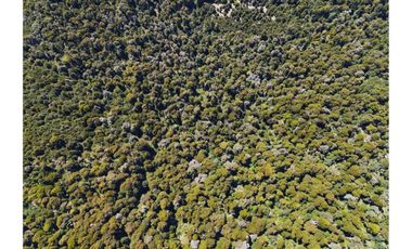 VENTA PARCELA CURARREHUE 5 HECTÁREAS