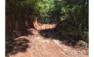 VENTA PARCELA CURARREHUE 5 HECTÁREAS