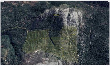 VENTA PARCELA CURARREHUE 5 HECTÁREAS