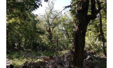 VENTA PARCELA CURARREHUE 5 HECTÁREAS