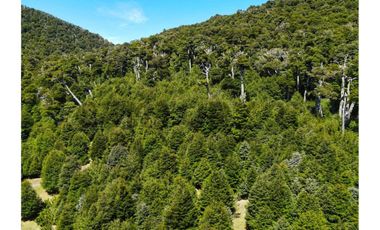 VENTA PARCELA CURARREHUE 5 HECTÁREAS