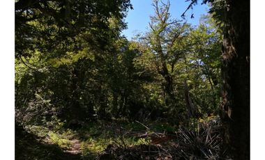 VENTA PARCELA CURARREHUE 5 HECTÁREAS