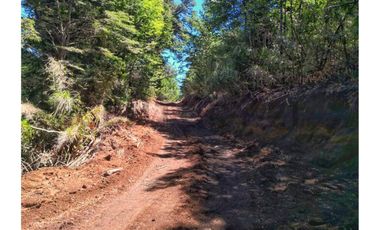 VENTA PARCELA CURARREHUE 5 HECTÁREAS