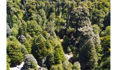 VENTA PARCELA CURARREHUE 5 HECTÁREAS