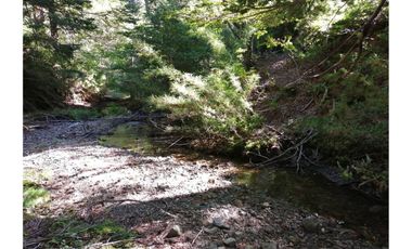 VENTA PARCELA CURARREHUE 5 HECTÁREAS