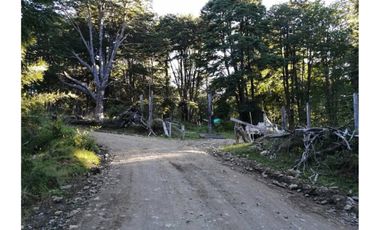 VENTA PARCELA CURARREHUE 5 HECTÁREAS