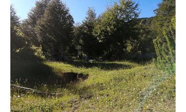 VENTA PARCELA CURARREHUE 5 HECTÁREAS