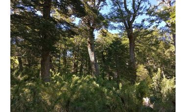 VENTA PARCELA CURARREHUE 5 HECTÁREAS