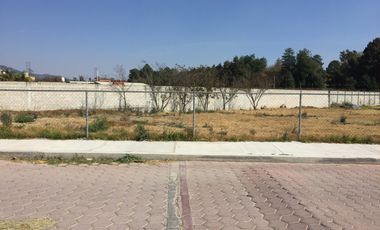 VENTA TERRENO EN PANOTLA, QUINTO BARRIO CALLE 1o DE JUNIO, ADOQUINADA BIEN UBICADO!