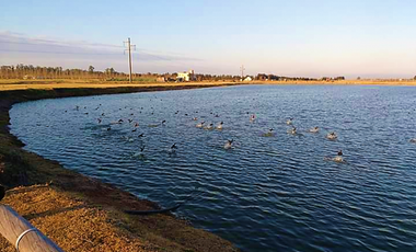 venta de lote en Haras de Funes