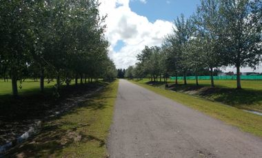 venta de lote en Haras de Funes