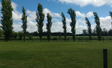 venta de lote en Haras de Funes