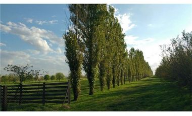 venta de lote en Haras de Funes