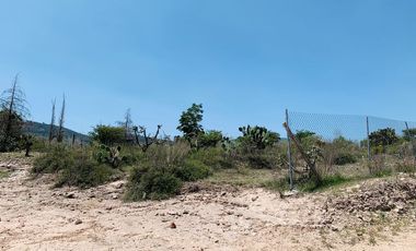 Amplísimo lote campestre.