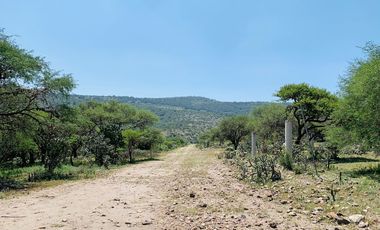 Amplísimo lote campestre.