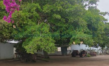 Terrenos Agricolas Venta CAR. PANAMERICANA NORTE  - CHANCAY