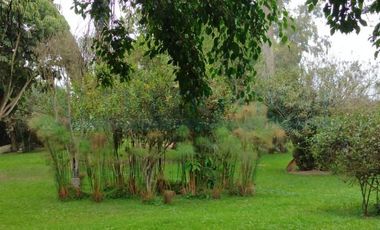 Terrenos Agricolas Venta CAR. PANAMERICANA NORTE  - CHANCAY
