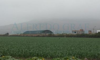 Terrenos Agricolas Venta CAR. PANAMERICANA NORTE  - CHANCAY