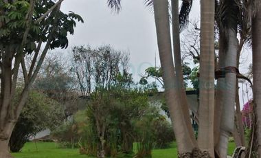 Terrenos Agricolas Venta CAR. PANAMERICANA NORTE  - CHANCAY