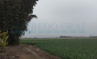 Terrenos Agricolas Venta CAR. PANAMERICANA NORTE  - CHANCAY