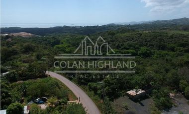 Se Vende Terreno en Chorrera (Carretera que conduce a la Mitra)