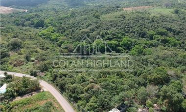 Se Vende Terreno en Chorrera (Carretera que conduce a la Mitra)