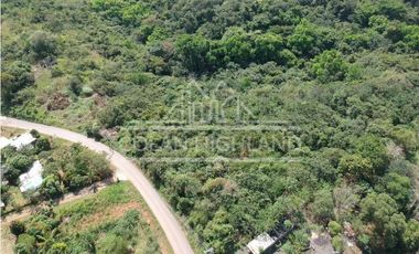 Se Vende Terreno en Chorrera (Carretera que conduce a la Mitra)