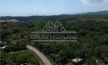 Se Vende Terreno en Chorrera (Carretera que conduce a la Mitra)