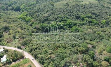 Se Vende Terreno en Chorrera (Carretera que conduce a la Mitra)