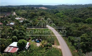 Se Vende Terreno en Chorrera (Carretera que conduce a la Mitra)