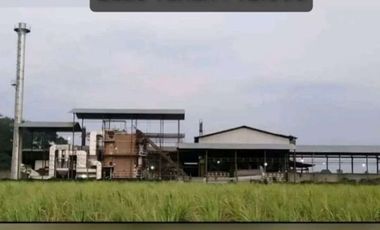 Pabrik Gula Putih Kediri Jawa Timur