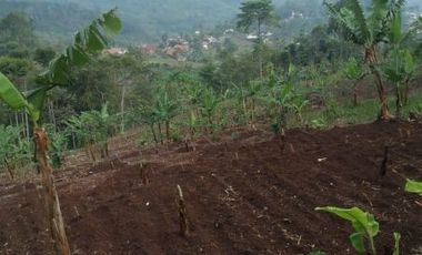 Tanah Investasi diParatag Ujungberung Bandung Timur | SANDYSUDIANA