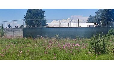 Terreno venta en amaxac de Guerrero Tlaxcala