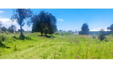 Terreno venta en amaxac de Guerrero Tlaxcala