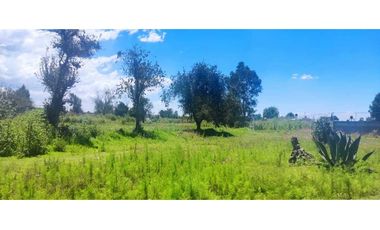Terreno venta en amaxac de Guerrero Tlaxcala