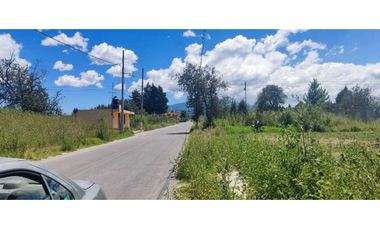 Terreno venta en amaxac de Guerrero Tlaxcala