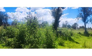 Terreno venta en amaxac de Guerrero Tlaxcala