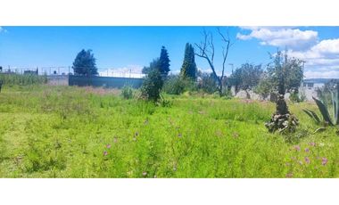 Terreno venta en amaxac de Guerrero Tlaxcala